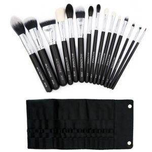 Set 901 15pc Pro Brush Set with Brush Case