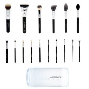 Set 916T - 16pc Pro Brush Set with Clear Brush Tube