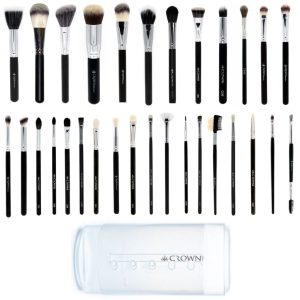Set 930T - 30pc Pro Brush Set with Clear Brush Tube