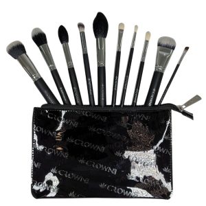 Set Pro 10pc Pro Brush Set